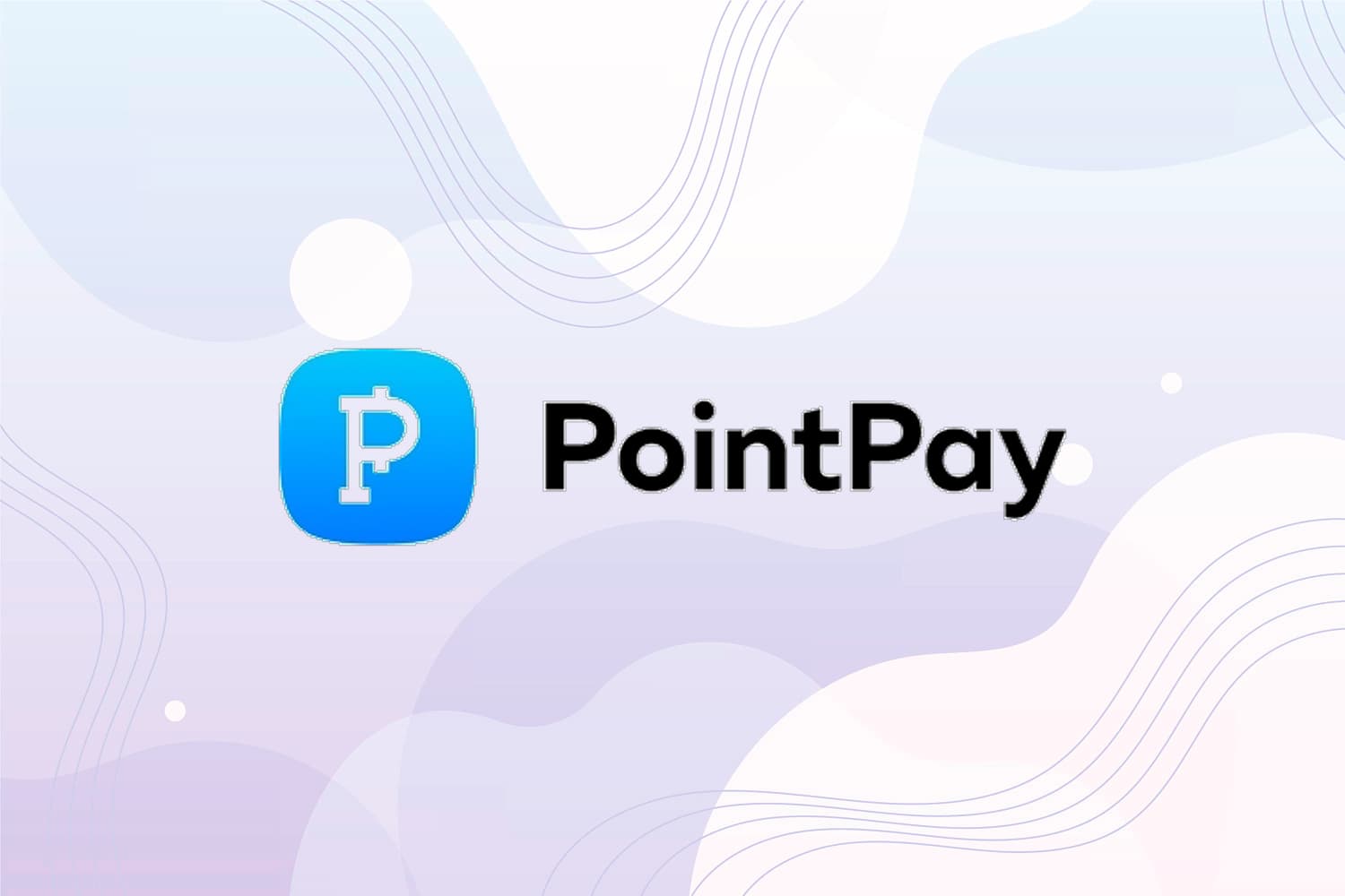 PointPay logo